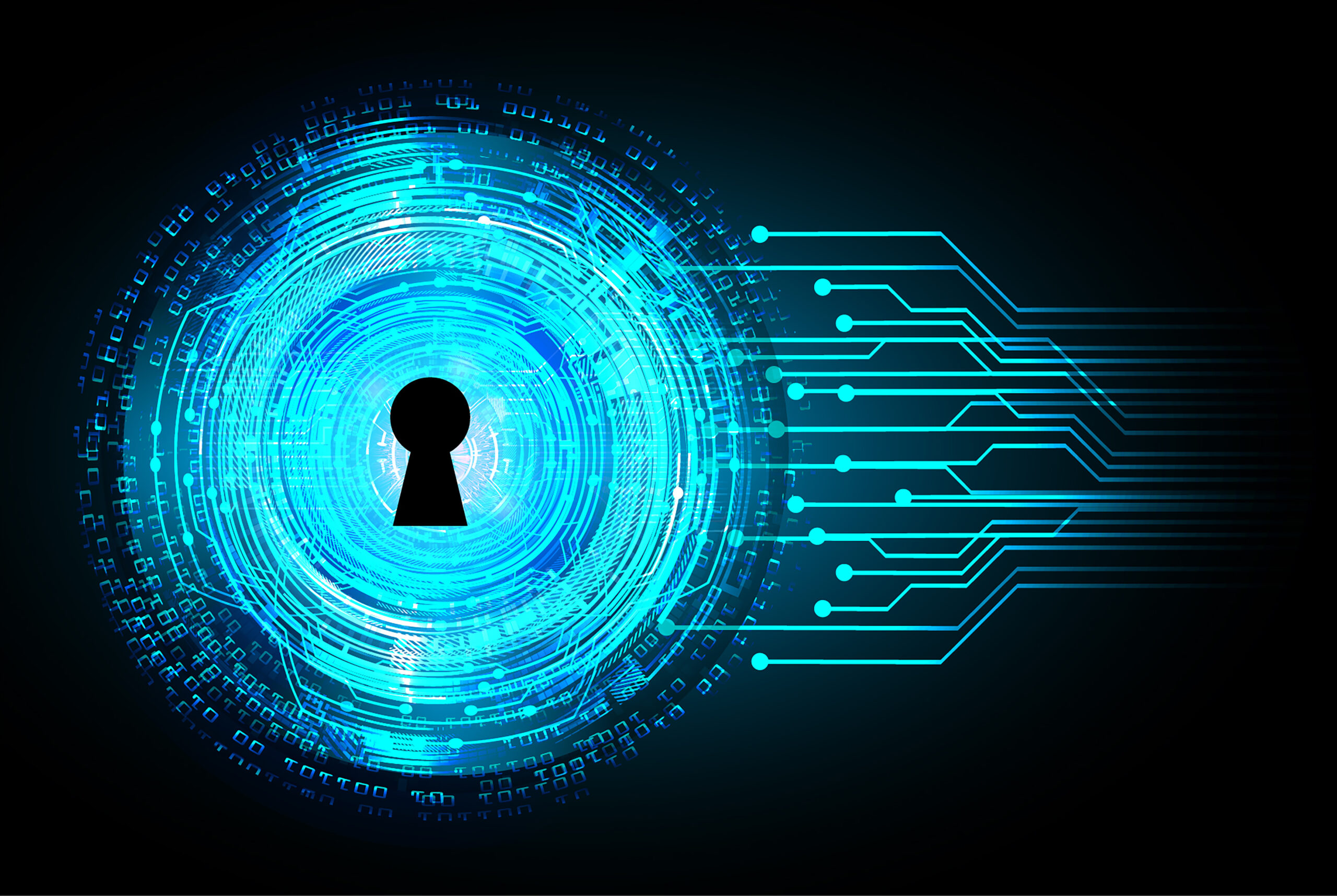 On-Chip Monitors Detect Bit-Flip Attacks in AI Accelerators (UF, UT Dallas, RPI)